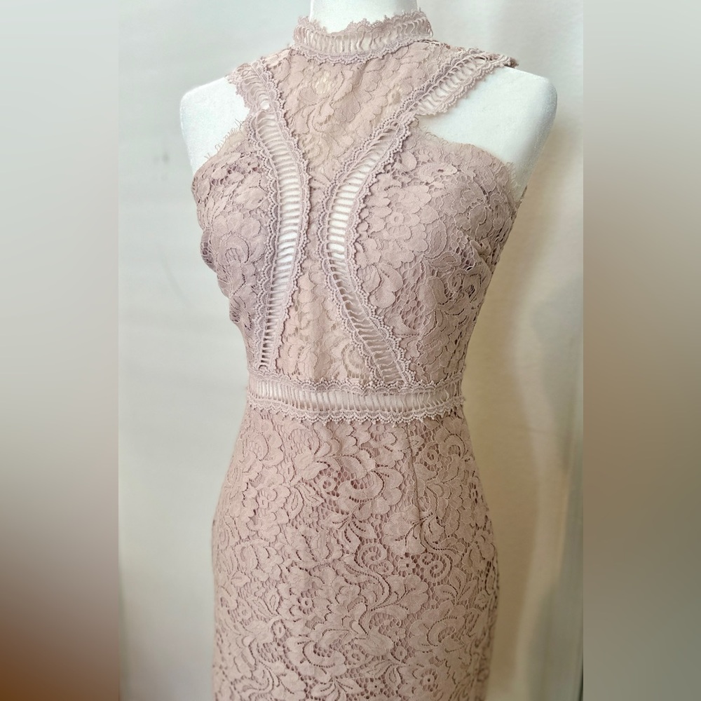 NWT Soieblu Crochet boutique lace dress- blush pink